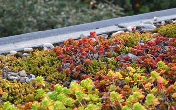 the cost of Three Ashes green roof installation