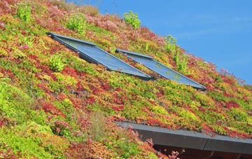 Three Ashes living roof systems